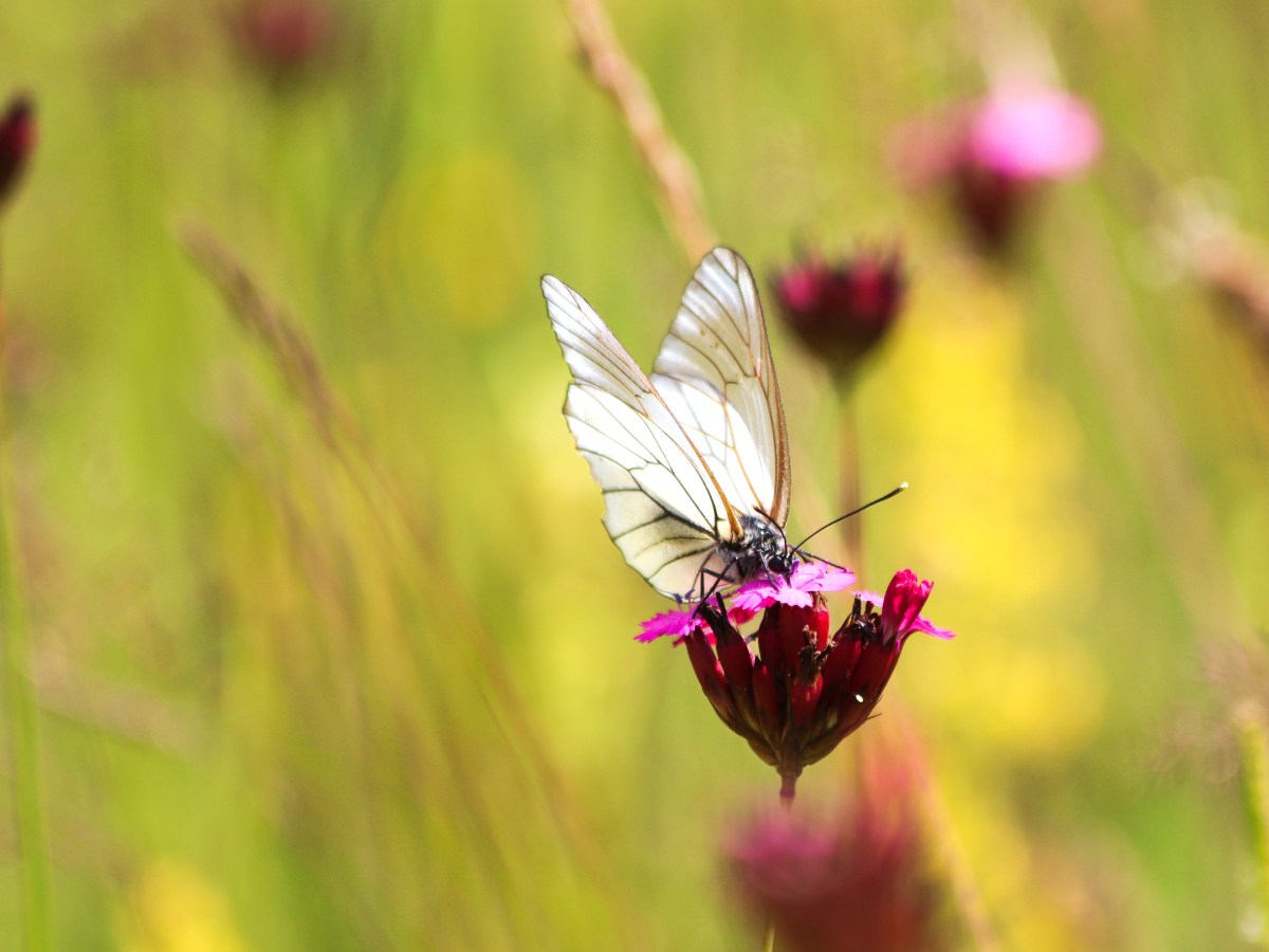 A year in review, a year in&nbsp;anticipation