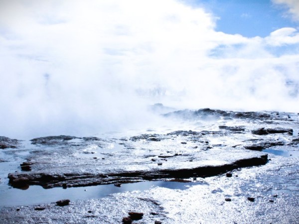 Dystopias, reality, and getting crabbit about&nbsp;labels